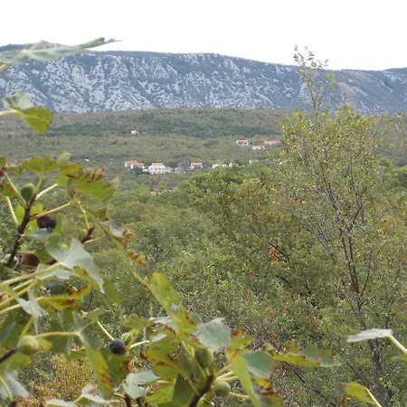 Rogic * Jadranovo